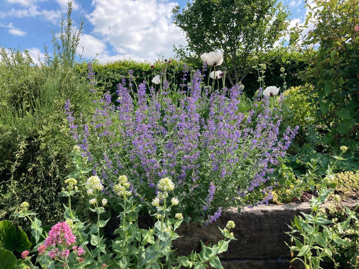 Slades Farm Bed & Breakfast Edington  Dış mekan fotoğraf